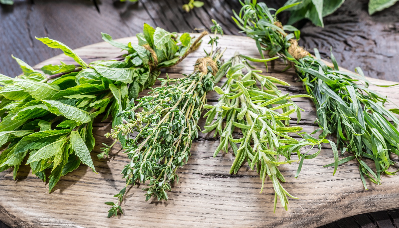 8 Plantes Aromatiques Vivaces Planter Pour De Nombreuses Ann es